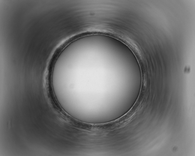 X0000102830388200808181053