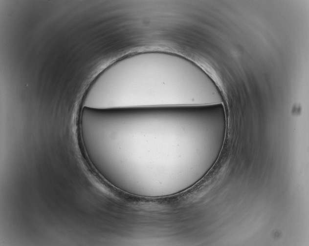 X0000102830389200808181053