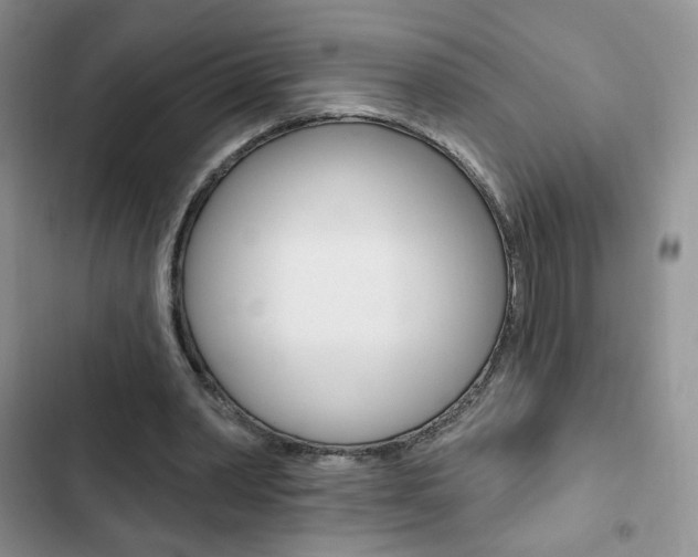 X0000102830390200808181053
