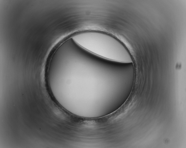 X0000102830391200808181053