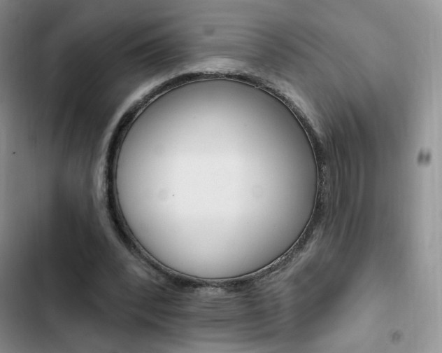 X0000102830392200808181053
