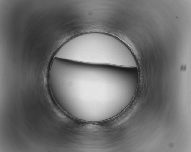 X0000102830393200808181053