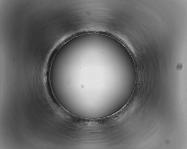 X0000102830395200808181053