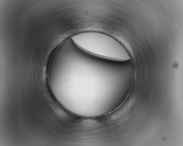 X0000102830397200808181053