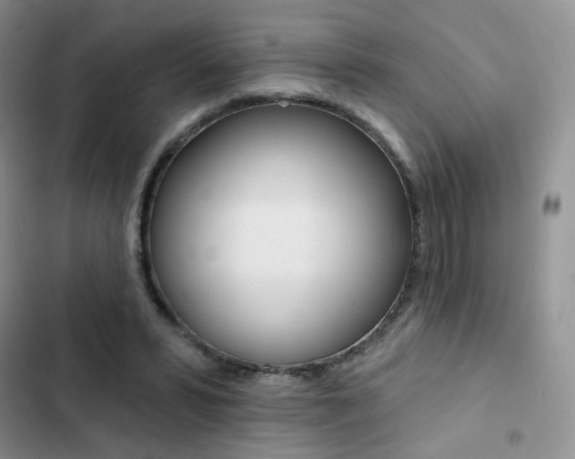 X0000102830399200808181053