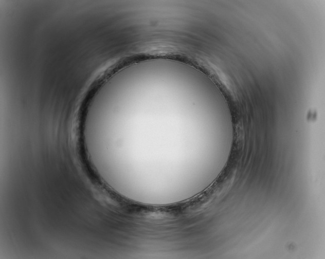X0000102830400200808181053