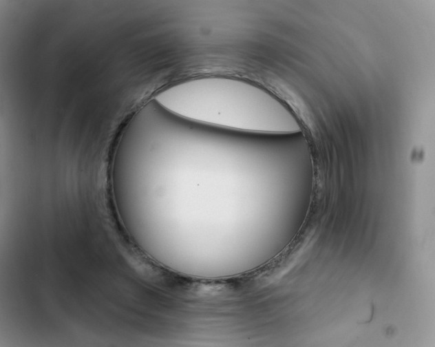X0000102830401200808181053