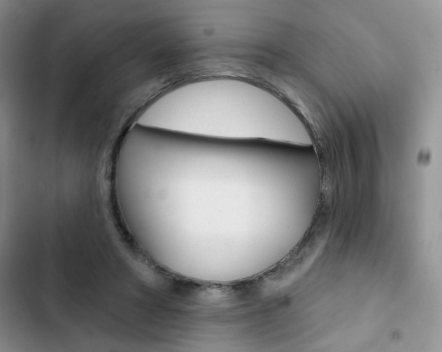 X0000102830402200808181053