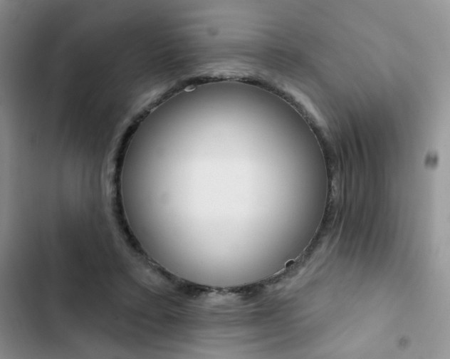 X0000102830403200808181053