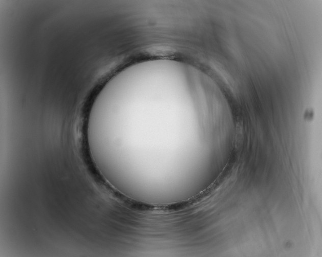 X0000102830404200808181053