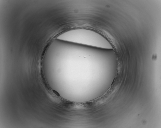 X0000102830405200808181053