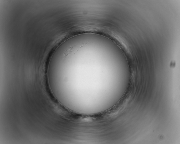 X0000102830407200808181053