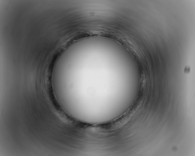 X0000102830408200808181053