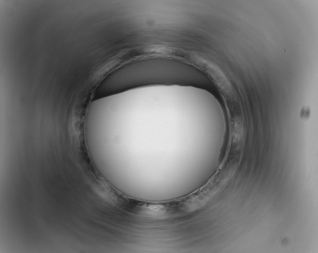 X0000102830409200808181053