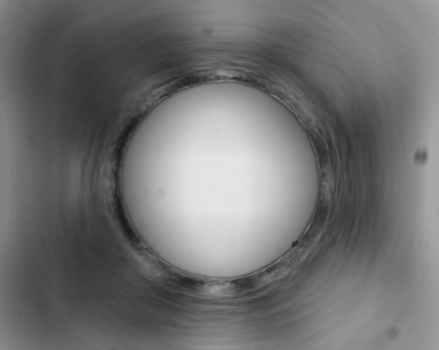 X0000102830410200808181053