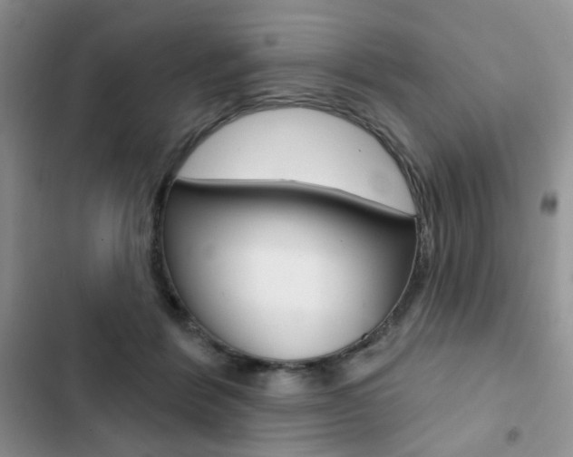 X0000102830412200808181053