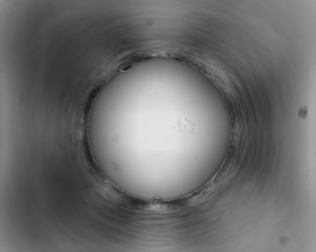 X0000102830413200808181053