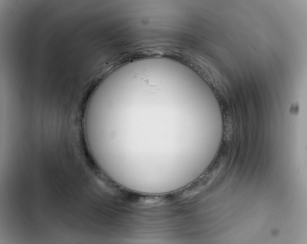 X0000102830414200808181053