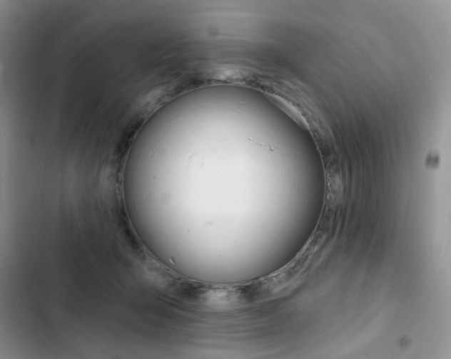 X0000102830415200808181053