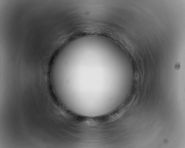 X0000102830416200808181053