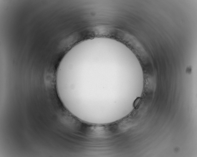 X0000102830419200808181053