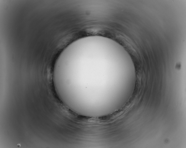 X0000102830420200808181053