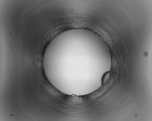 X0000102830421200808181053
