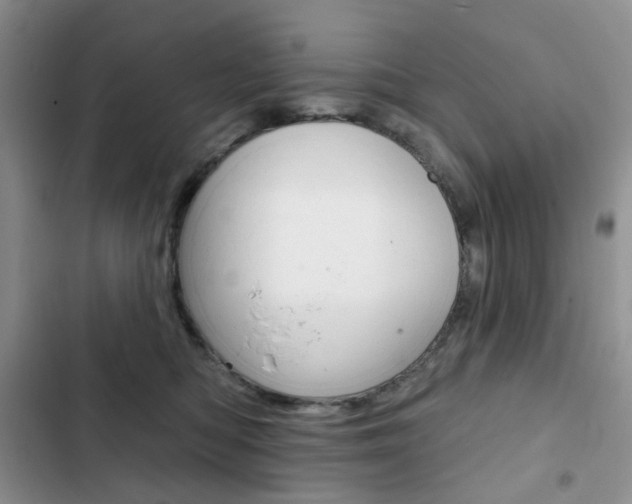 X0000102830422200808181053