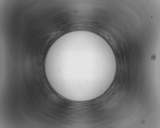 X0000102830423200808181053