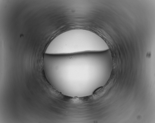 X0000102830425200808181053