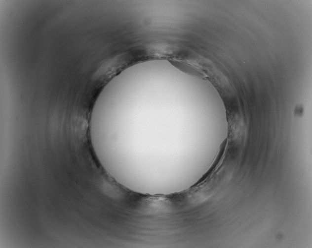 X0000102830427200808181053