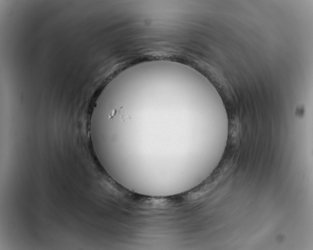 X0000102830428200808181053