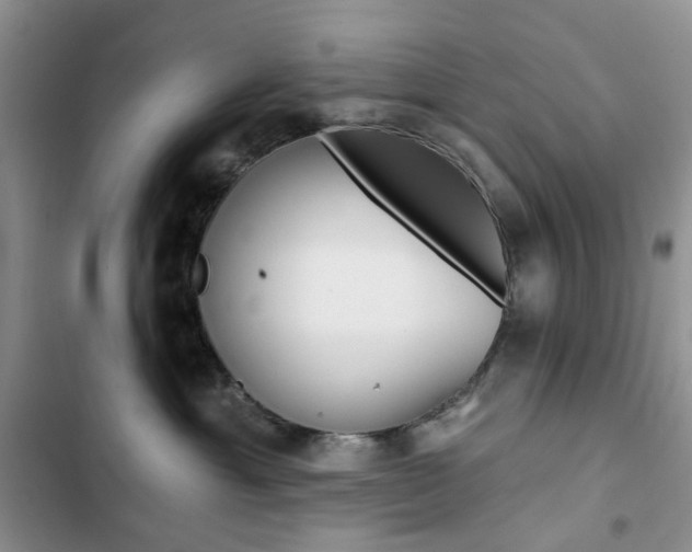 X0000102830429200808181053