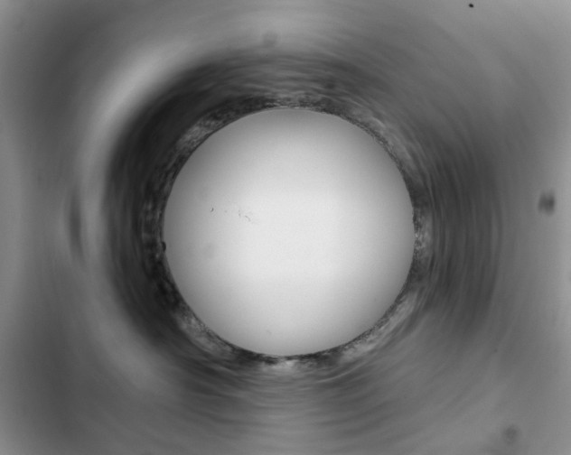 X0000102830430200808181053