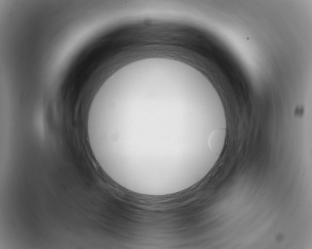 X0000102830431200808181053