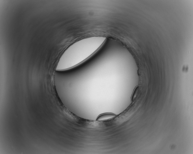 X0000102830432200808181053