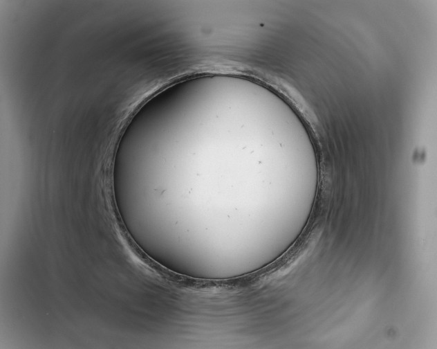 X0000102830433200808181052