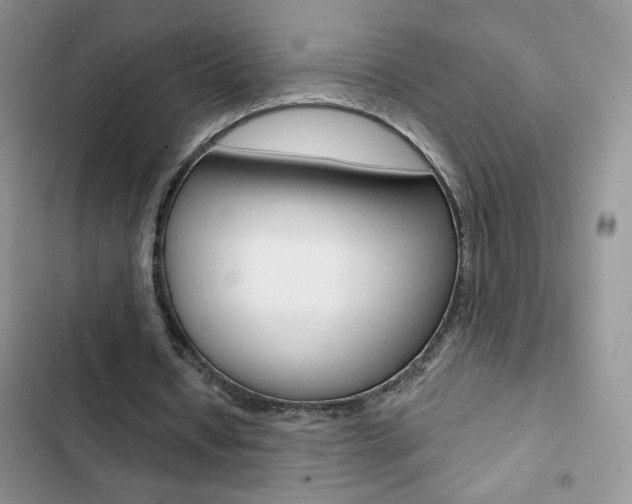 X0000102830434200808181052