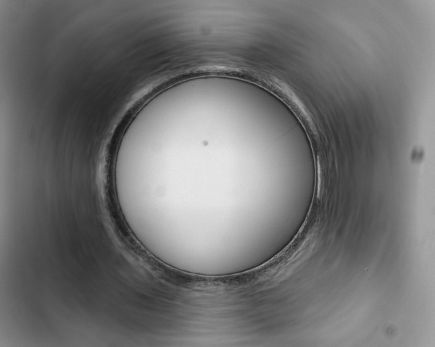 X0000102830435200808181052