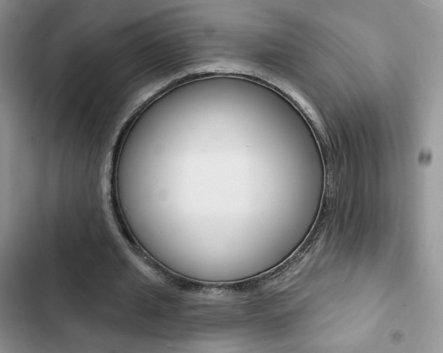 X0000102830437200808181052