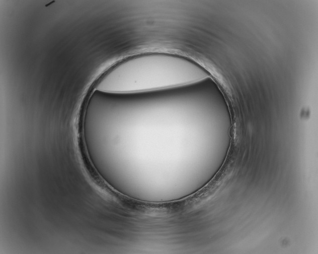 X0000102830438200808181052