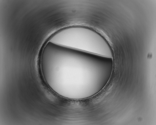 X0000102830439200808181052