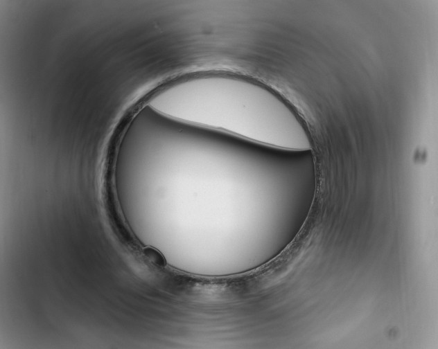 X0000102830440200808181052