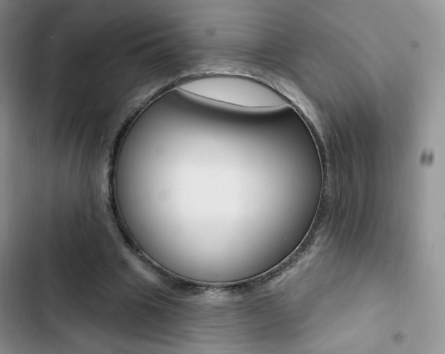 X0000102830441200808181052