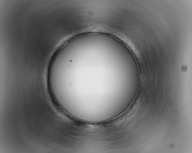 X0000102830442200808181052