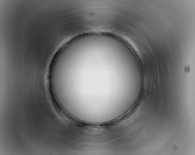 X0000102830443200808181052