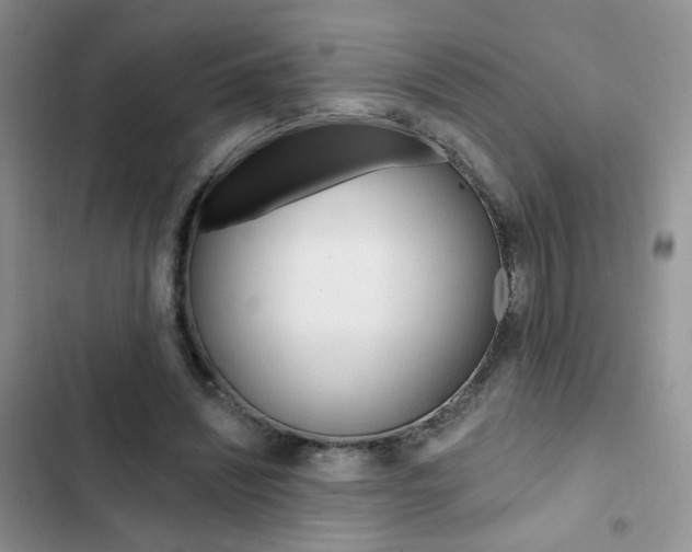 X0000102830444200808181052