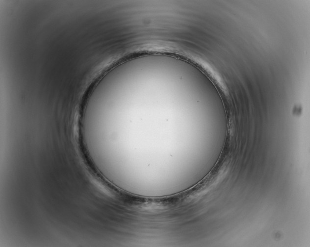 X0000102830445200808181052