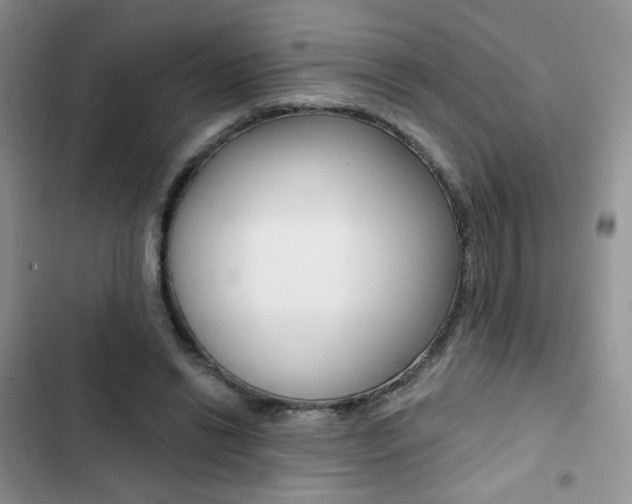 X0000102830446200808181052