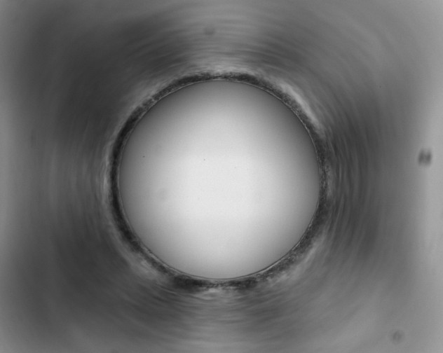 X0000102830447200808181052